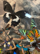 Charger l&#39;image dans la galerie, Envolée d’insectes sous globe napoléonien (ENVOI À ORGANISER AVANT ACHAT)
