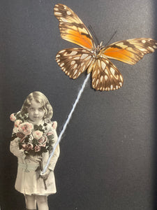 Cadre cerf volant au papillon