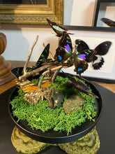 Charger l&#39;image dans la galerie, Globe « 360 de nature »
