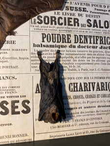 Cadre duo de chauve souris