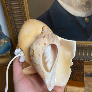 Lampe coquillage gravé