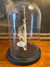 Charger l&#39;image dans la galerie, Véritable squelette de chauve-souris sous globe en verre
