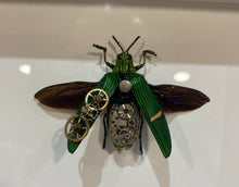 Charger l'image dans la galerie, Scarabée mécanique!
