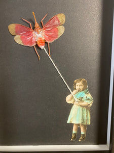 Cadre cerf volant au Pyrops