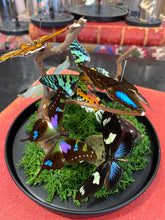 Charger l'image dans la galerie, Globe « 360 de nature »
