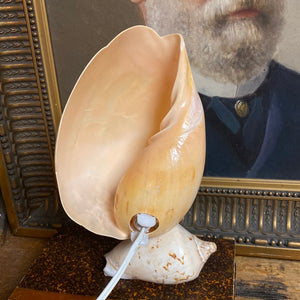 Lampe coquillage gravé