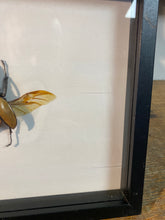 Charger l&#39;image dans la galerie, Cadre scarabée
