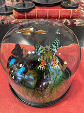 Charger l'image dans la galerie, Globe « 360 de nature »

