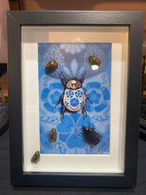 Charger l'image dans la galerie, Cadre avec illustration
