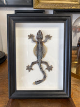 Charger l'image dans la galerie, Cadre gecko volant
