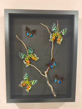 Charger l'image dans la galerie, Cadre envolées de papillons
