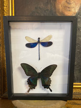 Charger l&#39;image dans la galerie, Cadre duo de papillon et libellule
