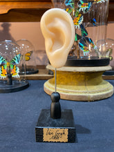 Charger l'image dans la galerie, Oreille de Vincent Van Gogh
