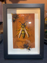 Charger l'image dans la galerie, Cadre avec illustration
