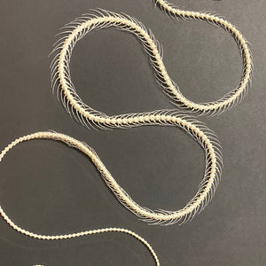 Cadre squelette de serpent grand modèle