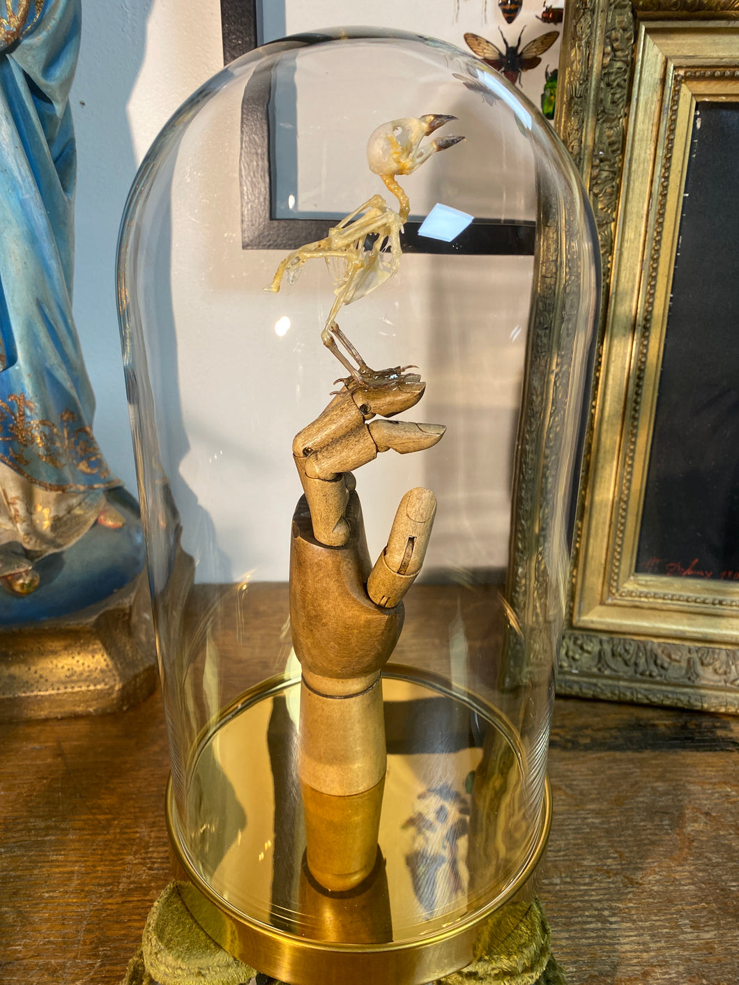 Squelette d’oiseau sur main articulé en bois