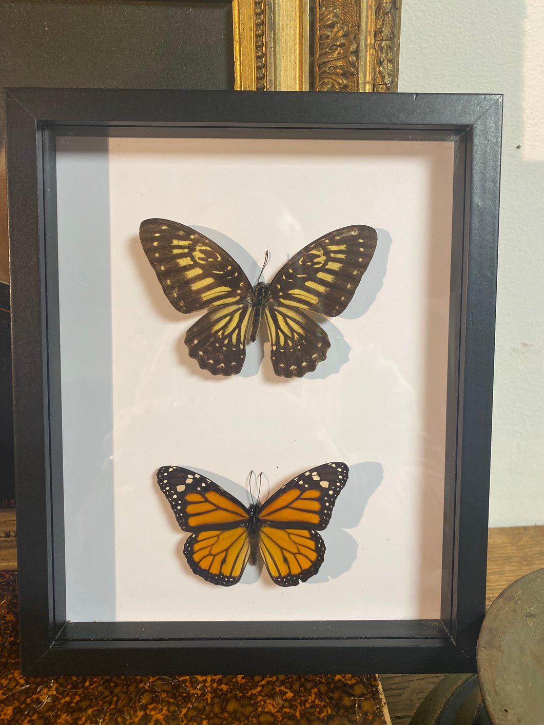 Cadre duo de papillons