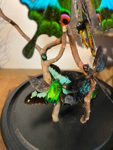 Charger l&#39;image dans la galerie, Globe envolée de papillons et demoiselles
