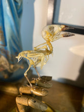 Charger l&#39;image dans la galerie, Squelette d’oiseau sur main articulé en bois
