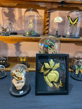 Charger l'image dans la galerie, Cadre « sacré coeur aux papillons »
