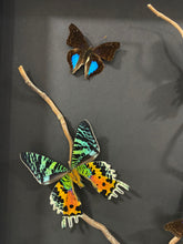 Charger l'image dans la galerie, Cadre envolées de papillons
