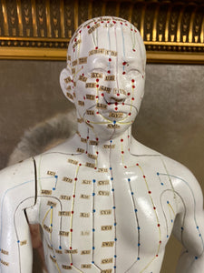 Mannequin d’acupuncture