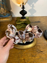 Charger l&#39;image dans la galerie, Balane sur piédestal
