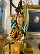 Charger l&#39;image dans la galerie, Papillons urania ripheus sur main en bois
