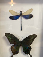 Charger l&#39;image dans la galerie, Cadre duo de papillon et libellule
