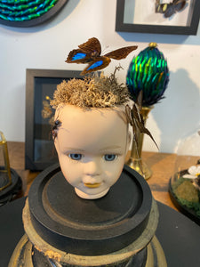 Globe insectes sur tête de poupée en porcelaine