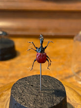 Charger l'image dans la galerie, Mini globe

