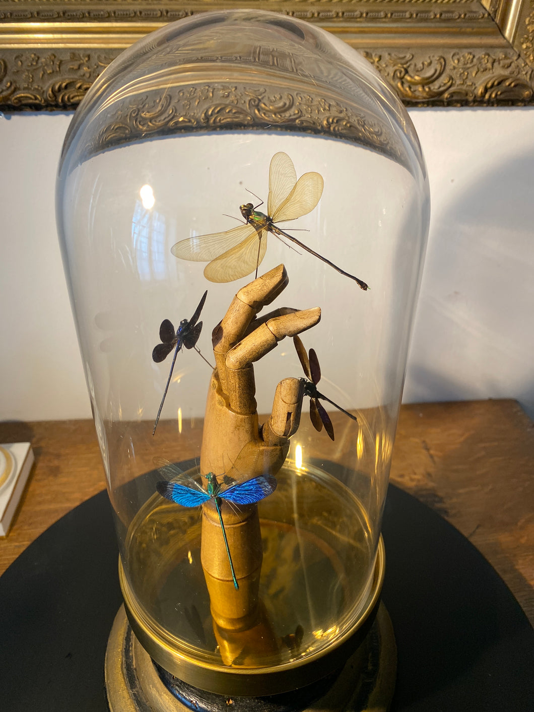 Libellules sur main en bois