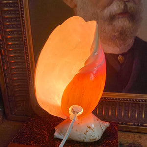 Lampe coquillage gravé