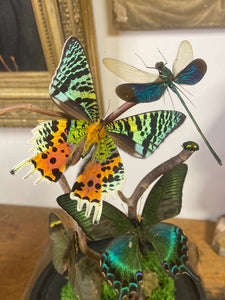 Cloche envolée de papillons sur bois tortueux