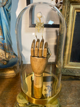 Charger l&#39;image dans la galerie, Squelette d’oiseau sur main articulé en bois
