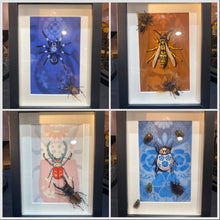 Charger l'image dans la galerie, Cadre avec illustration
