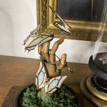 Charger l&#39;image dans la galerie, Papillons polyura sur main en bois

