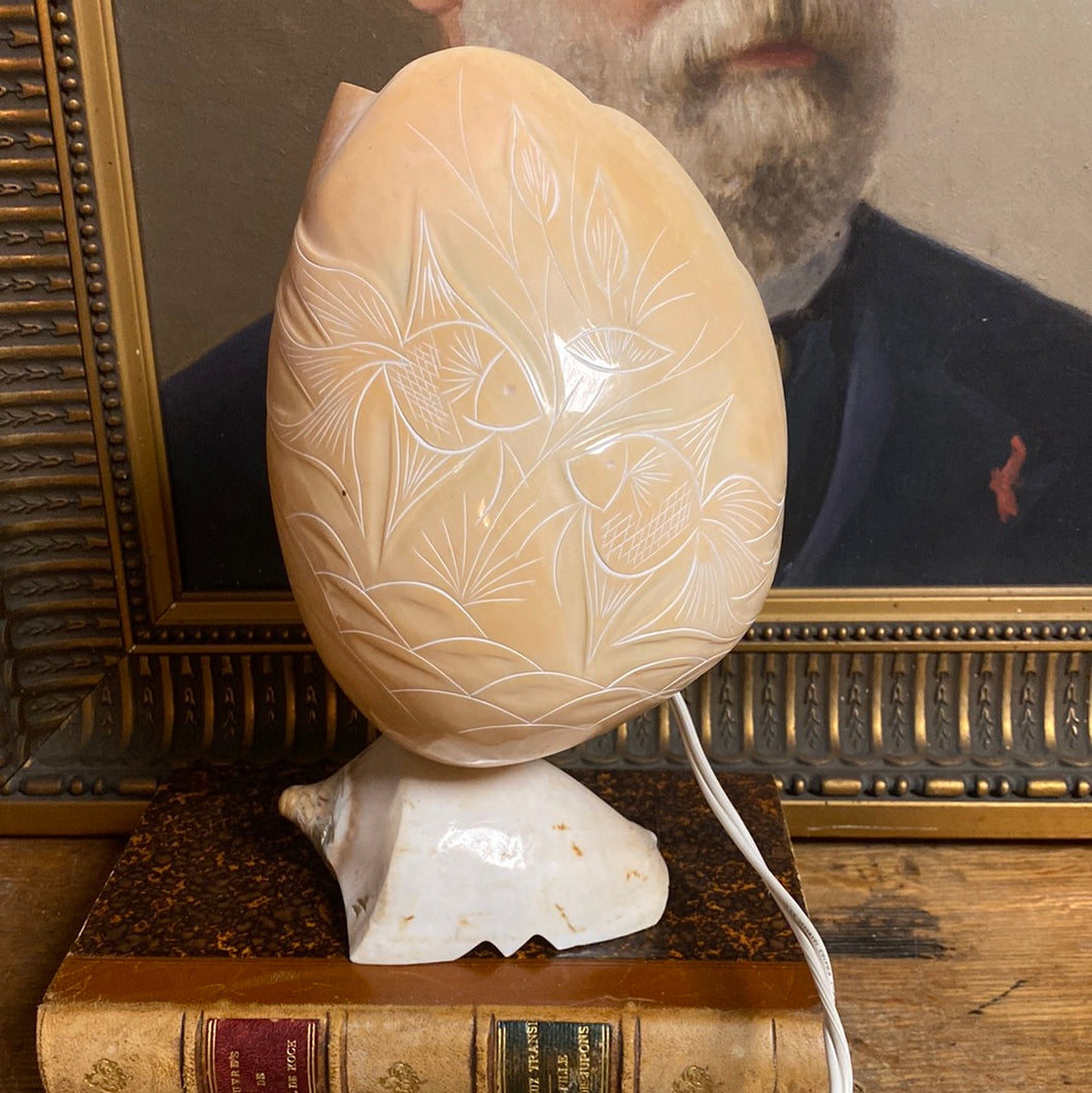 Lampe coquillage gravé