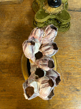 Charger l&#39;image dans la galerie, Balane sur piédestal
