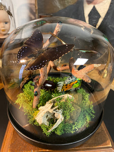 Globe « 360 de nature »