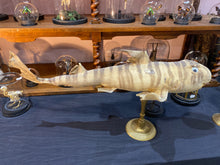 Charger l'image dans la galerie, Requin zèbre sur piédestal
