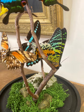 Charger l&#39;image dans la galerie, Cloche envolée de papillons sur bois tortueux

