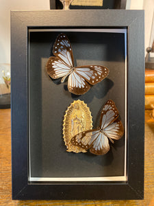 Cadre la vierge aux papillons