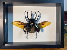 Charger l&#39;image dans la galerie, Scarabée mécanique!
