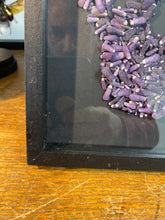 Charger l&#39;image dans la galerie, Cadre tête de mort en radiole d’oursin petit modèle
