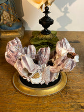 Charger l&#39;image dans la galerie, Balane sur piédestal
