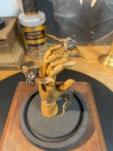 Trio de scarabée sur main en bois petit modèle