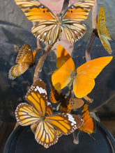 Charger l&#39;image dans la galerie, Globe envolée de papillons
