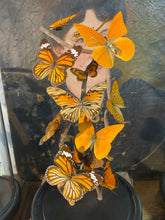 Charger l&#39;image dans la galerie, Globe envolée de papillons
