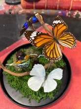 Charger l'image dans la galerie, Globe « 360 de nature »
